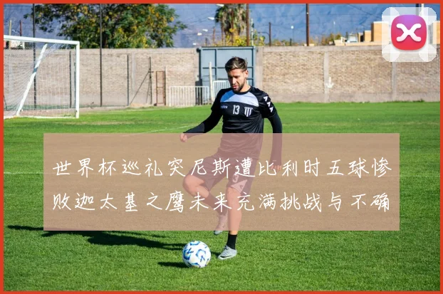 世界杯巡礼突尼斯遭比利时五球惨败迦太基之鹰未来充满挑战与不确定性